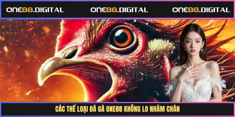 Các thể loại đá gà One88 không lo nhàm chán