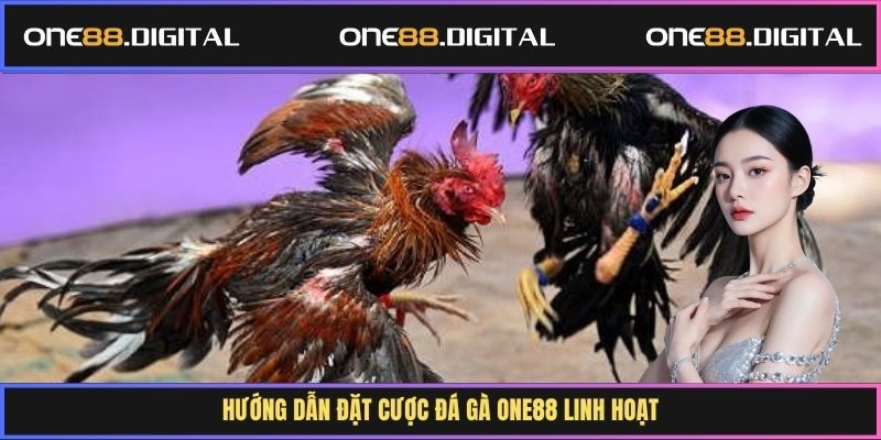 Hướng dẫn đặt cược đá gà One88 linh hoạt