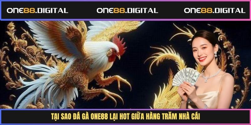 Tại sao đá gà One88 lại hot giữa hàng trăm nhà cái